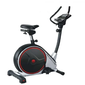 06 Upright Bike 913