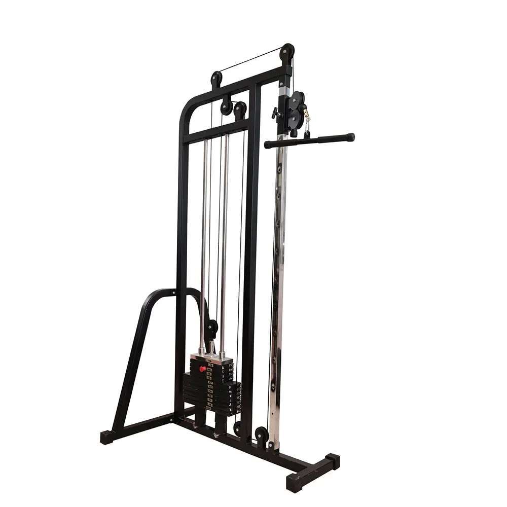 10 Biceps & Triceps Machine With MS Weight