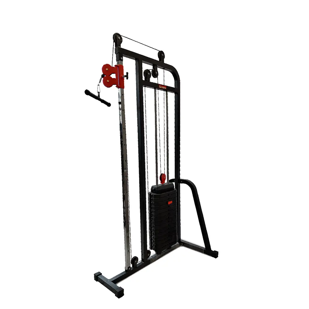 11 Biceps & Triceps Machine With PVC Weight