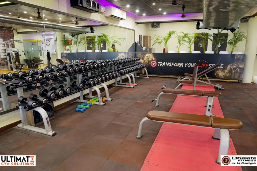 Ultimate Fitness Sector 46 Chandigarh - Ultimate Gym Solutions