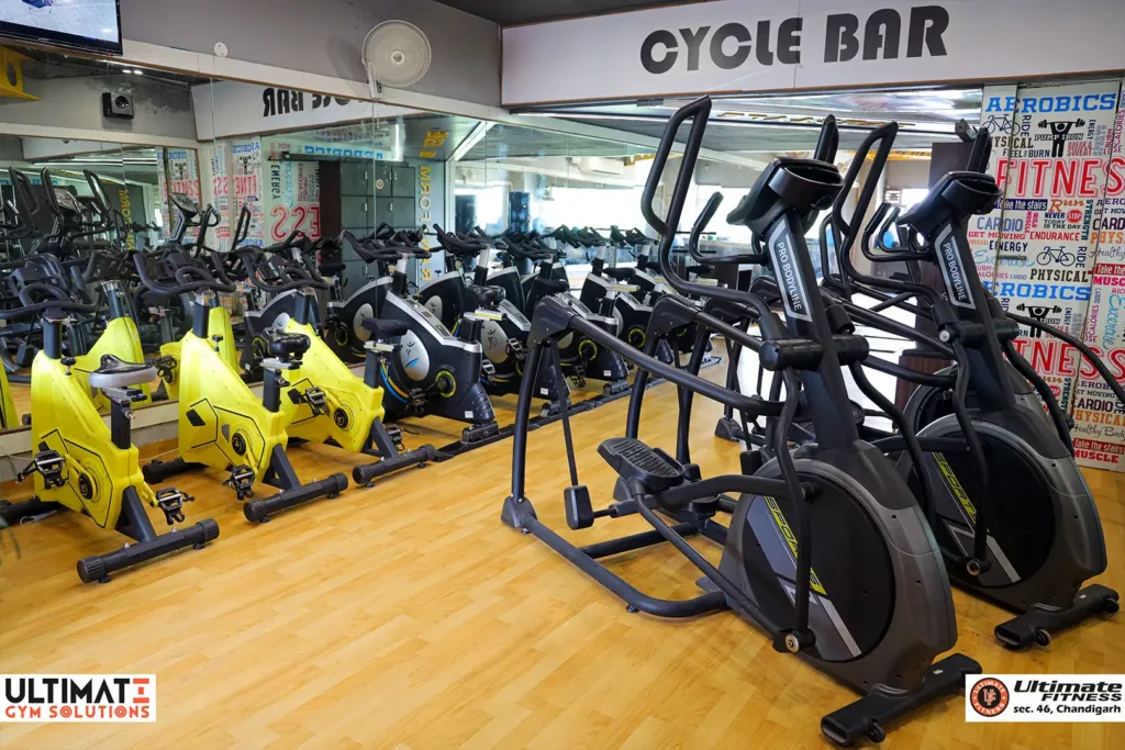 Ultimate Fitness in Chandigarh Sector 46c,Chandigarh - Best Gyms in  Chandigarh - Justdial
