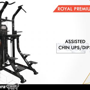 Assisted-Chin-Ups-Dips-Royal-Premium-Series